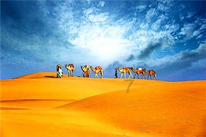 华谊收了冯小刚1.68亿赔偿款，明星为什么这么有钱？游戏画面