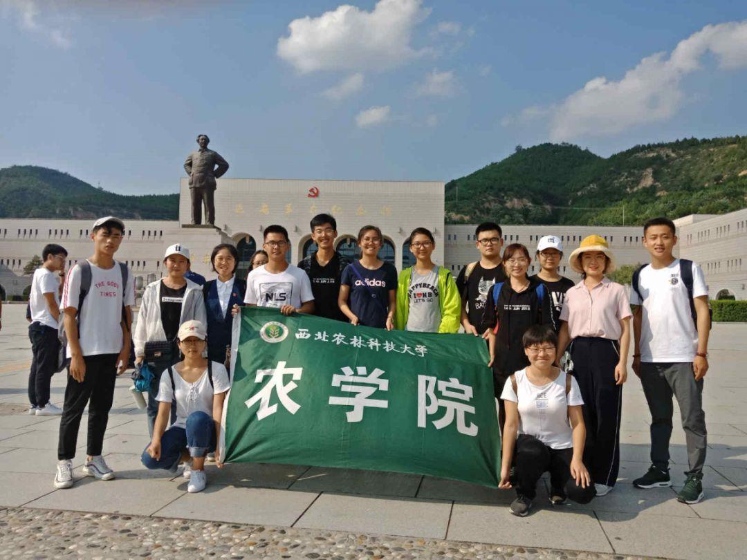 逃离老旧温泉社